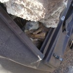 Picture of dead body buried and mummified in car trunk